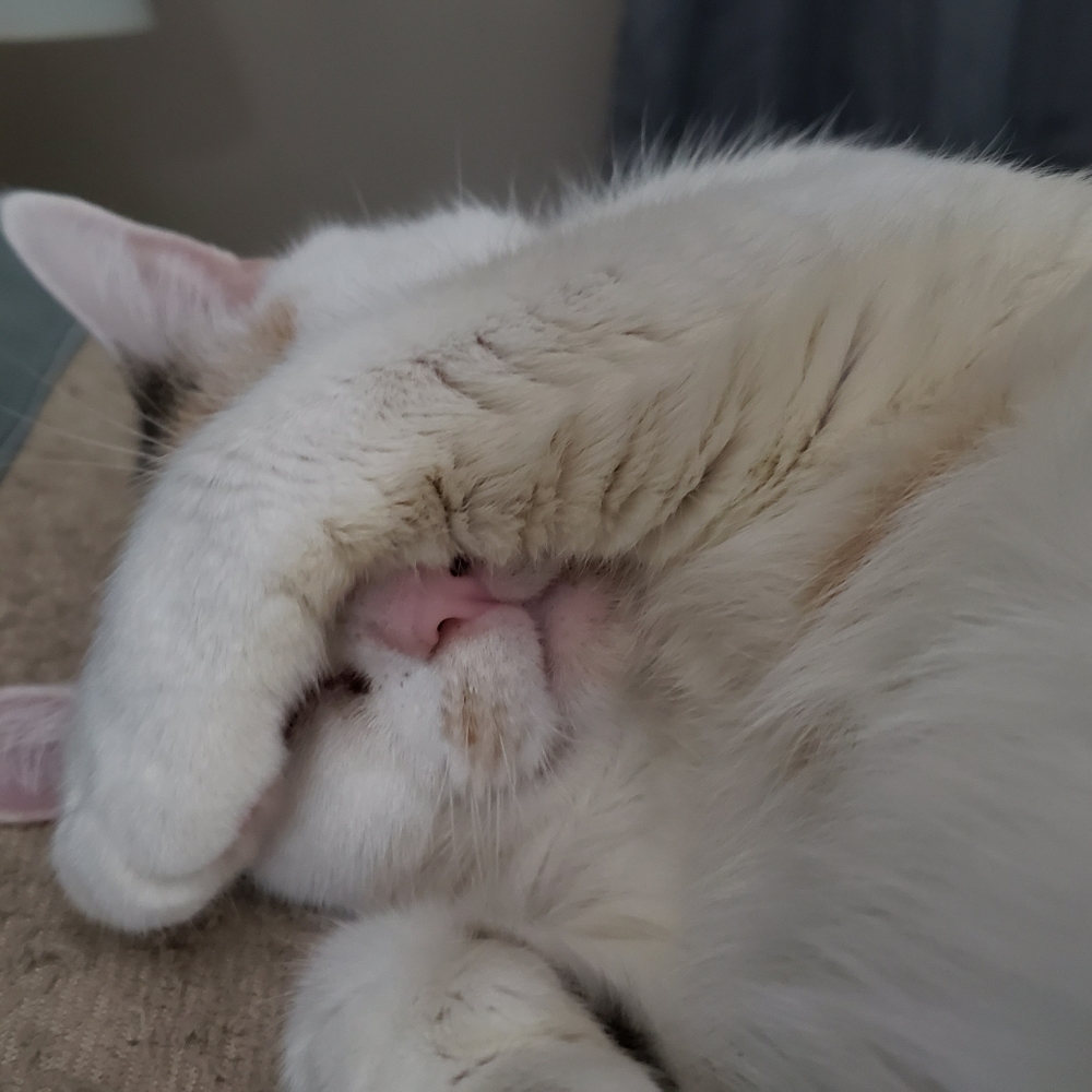 Hello! 💜💙💚 - Picture 9 of 16